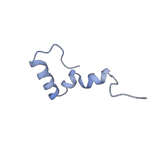 6306_3j9w_B6_v1-2
Cryo-EM structure of the Bacillus subtilis MifM-stalled ribosome complex