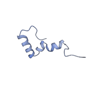 6306_3j9w_B6_v1-3
Cryo-EM structure of the Bacillus subtilis MifM-stalled ribosome complex