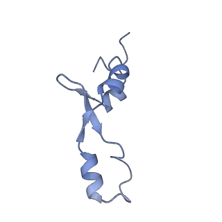 6306_3j9w_B7_v1-2
Cryo-EM structure of the Bacillus subtilis MifM-stalled ribosome complex