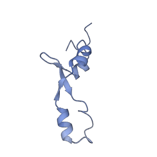 6306_3j9w_B7_v1-3
Cryo-EM structure of the Bacillus subtilis MifM-stalled ribosome complex