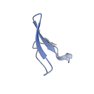 6306_3j9w_B8_v1-2
Cryo-EM structure of the Bacillus subtilis MifM-stalled ribosome complex