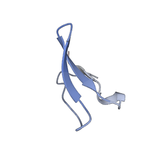 6306_3j9w_B8_v1-3
Cryo-EM structure of the Bacillus subtilis MifM-stalled ribosome complex