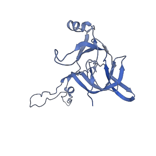 6306_3j9w_BE_v1-2
Cryo-EM structure of the Bacillus subtilis MifM-stalled ribosome complex