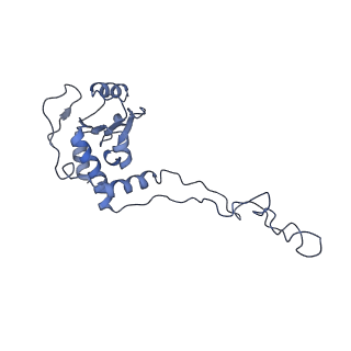 6306_3j9w_BF_v1-3
Cryo-EM structure of the Bacillus subtilis MifM-stalled ribosome complex