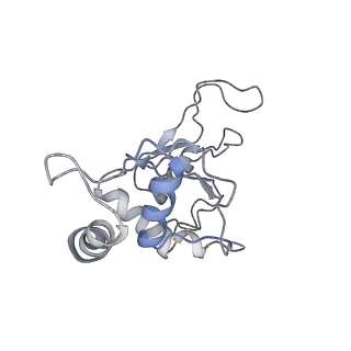 6306_3j9w_BG_v1-2
Cryo-EM structure of the Bacillus subtilis MifM-stalled ribosome complex