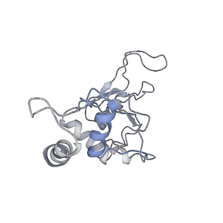 6306_3j9w_BG_v1-3
Cryo-EM structure of the Bacillus subtilis MifM-stalled ribosome complex