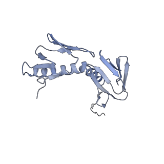 6306_3j9w_BH_v1-2
Cryo-EM structure of the Bacillus subtilis MifM-stalled ribosome complex