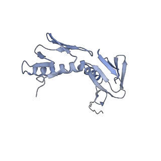 6306_3j9w_BH_v1-3
Cryo-EM structure of the Bacillus subtilis MifM-stalled ribosome complex