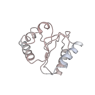 6306_3j9w_BJ_v1-2
Cryo-EM structure of the Bacillus subtilis MifM-stalled ribosome complex