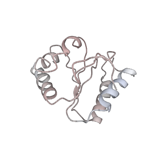 6306_3j9w_BJ_v1-3
Cryo-EM structure of the Bacillus subtilis MifM-stalled ribosome complex