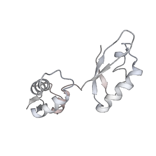 6306_3j9w_BK_v1-2
Cryo-EM structure of the Bacillus subtilis MifM-stalled ribosome complex