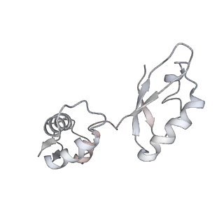 6306_3j9w_BK_v1-3
Cryo-EM structure of the Bacillus subtilis MifM-stalled ribosome complex