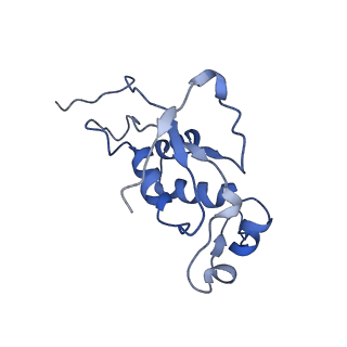 6306_3j9w_BM_v1-3
Cryo-EM structure of the Bacillus subtilis MifM-stalled ribosome complex