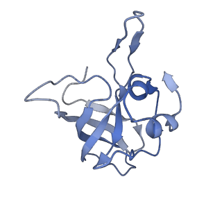 6306_3j9w_BN_v1-2
Cryo-EM structure of the Bacillus subtilis MifM-stalled ribosome complex