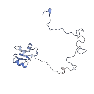 6306_3j9w_BO_v1-2
Cryo-EM structure of the Bacillus subtilis MifM-stalled ribosome complex