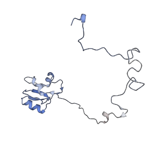 6306_3j9w_BO_v1-3
Cryo-EM structure of the Bacillus subtilis MifM-stalled ribosome complex