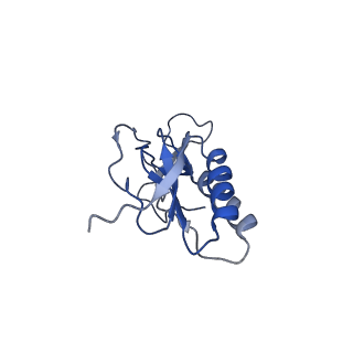 6306_3j9w_BP_v1-2
Cryo-EM structure of the Bacillus subtilis MifM-stalled ribosome complex