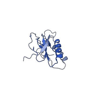 6306_3j9w_BP_v1-3
Cryo-EM structure of the Bacillus subtilis MifM-stalled ribosome complex