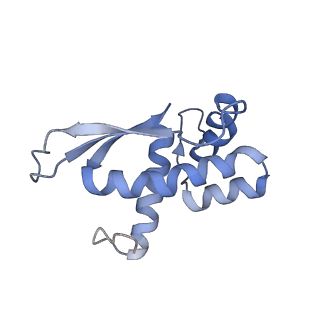 6306_3j9w_BQ_v1-2
Cryo-EM structure of the Bacillus subtilis MifM-stalled ribosome complex
