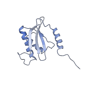 6306_3j9w_BR_v1-2
Cryo-EM structure of the Bacillus subtilis MifM-stalled ribosome complex