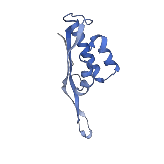 6306_3j9w_BV_v1-2
Cryo-EM structure of the Bacillus subtilis MifM-stalled ribosome complex