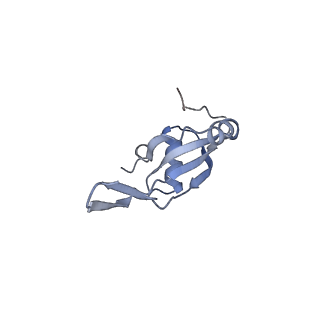 6306_3j9w_BW_v1-2
Cryo-EM structure of the Bacillus subtilis MifM-stalled ribosome complex