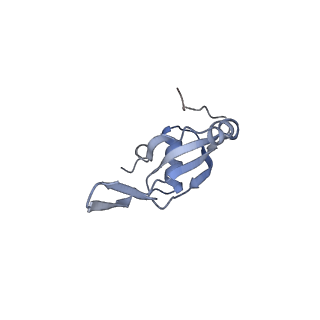 6306_3j9w_BW_v1-3
Cryo-EM structure of the Bacillus subtilis MifM-stalled ribosome complex