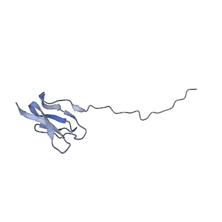 6306_3j9w_BZ_v1-2
Cryo-EM structure of the Bacillus subtilis MifM-stalled ribosome complex