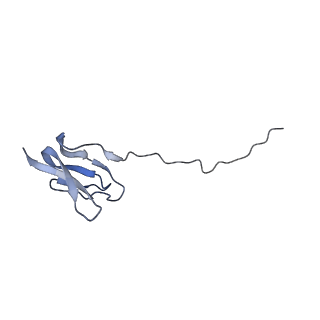 6306_3j9w_BZ_v1-3
Cryo-EM structure of the Bacillus subtilis MifM-stalled ribosome complex