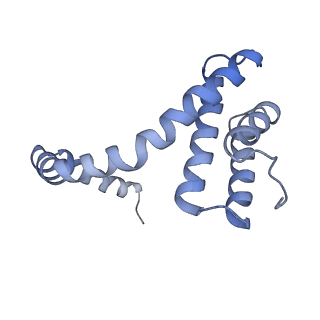 6310_3j9x_4_v1-1
A Virus that Infects a Hyperthermophile Encapsidates A-Form DNA