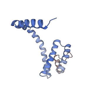 6310_3j9x_5_v1-1
A Virus that Infects a Hyperthermophile Encapsidates A-Form DNA