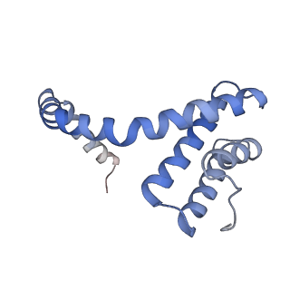 6310_3j9x_6_v1-1
A Virus that Infects a Hyperthermophile Encapsidates A-Form DNA