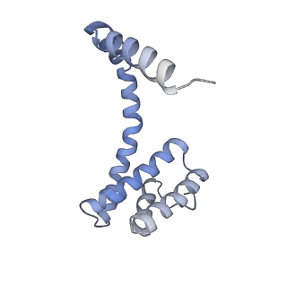 6310_3j9x_A_v1-1
A Virus that Infects a Hyperthermophile Encapsidates A-Form DNA