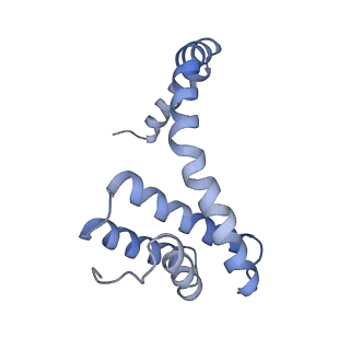 6310_3j9x_F_v1-1
A Virus that Infects a Hyperthermophile Encapsidates A-Form DNA
