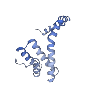 6310_3j9x_H_v1-1
A Virus that Infects a Hyperthermophile Encapsidates A-Form DNA
