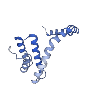 6310_3j9x_J_v1-1
A Virus that Infects a Hyperthermophile Encapsidates A-Form DNA