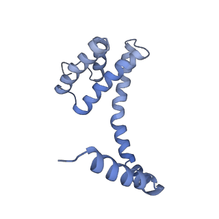 6310_3j9x_O_v1-2
A Virus that Infects a Hyperthermophile Encapsidates A-Form DNA