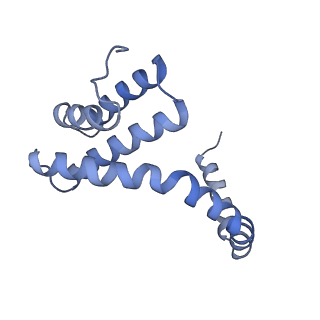 6310_3j9x_P_v1-2
A Virus that Infects a Hyperthermophile Encapsidates A-Form DNA