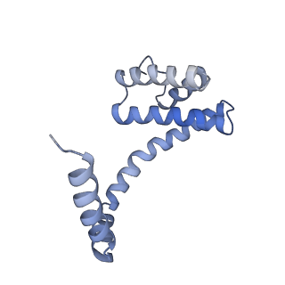 6310_3j9x_S_v1-2
A Virus that Infects a Hyperthermophile Encapsidates A-Form DNA