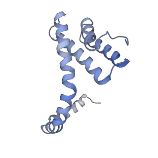 6310_3j9x_V_v1-2
A Virus that Infects a Hyperthermophile Encapsidates A-Form DNA