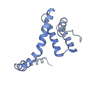 6310_3j9x_X_v1-1
A Virus that Infects a Hyperthermophile Encapsidates A-Form DNA