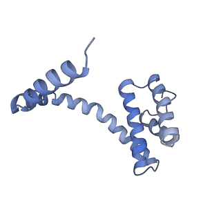 6310_3j9x_Y_v1-2
A Virus that Infects a Hyperthermophile Encapsidates A-Form DNA