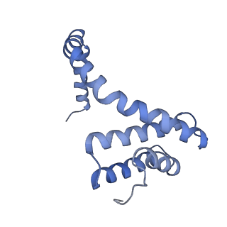 6310_3j9x_f_v1-1
A Virus that Infects a Hyperthermophile Encapsidates A-Form DNA