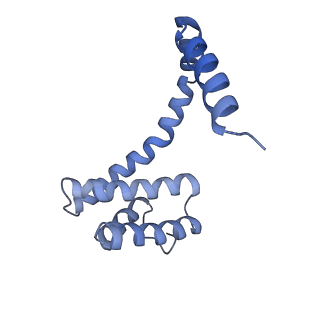 6310_3j9x_g_v1-2
A Virus that Infects a Hyperthermophile Encapsidates A-Form DNA