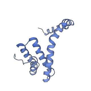 6310_3j9x_l_v1-1
A Virus that Infects a Hyperthermophile Encapsidates A-Form DNA