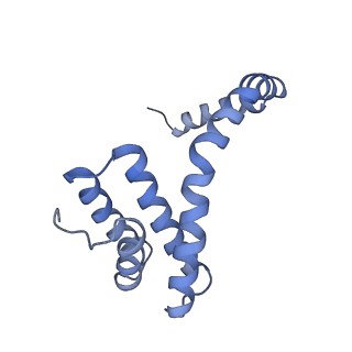 6310_3j9x_l_v1-2
A Virus that Infects a Hyperthermophile Encapsidates A-Form DNA