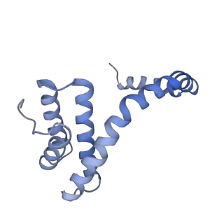 6310_3j9x_n_v1-1
A Virus that Infects a Hyperthermophile Encapsidates A-Form DNA