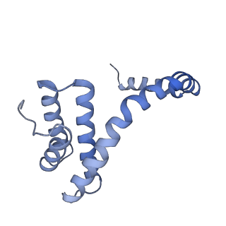 6310_3j9x_n_v1-2
A Virus that Infects a Hyperthermophile Encapsidates A-Form DNA