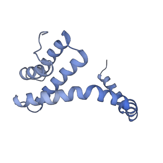 6310_3j9x_r_v1-2
A Virus that Infects a Hyperthermophile Encapsidates A-Form DNA