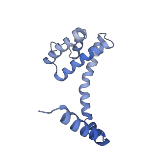 6310_3j9x_s_v1-1
A Virus that Infects a Hyperthermophile Encapsidates A-Form DNA